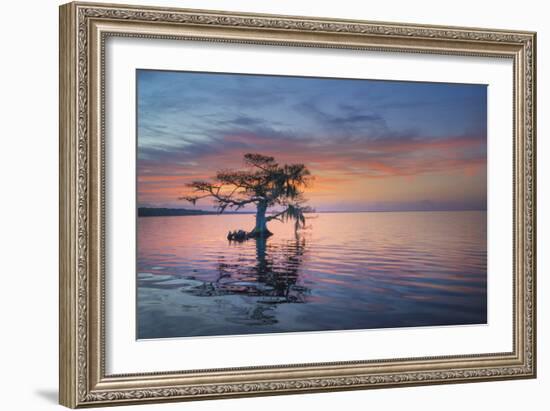 Alone at Sunrise-Moises Levy-Framed Photographic Print