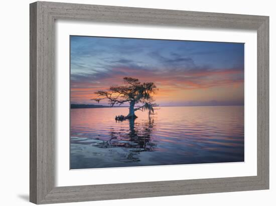 Alone at Sunrise-Moises Levy-Framed Photographic Print