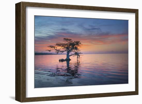 Alone at Sunrise-Moises Levy-Framed Photographic Print