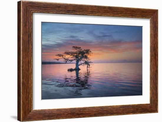 Alone at Sunrise-Moises Levy-Framed Photographic Print