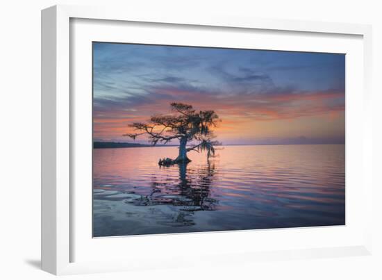 Alone at Sunrise-Moises Levy-Framed Photographic Print