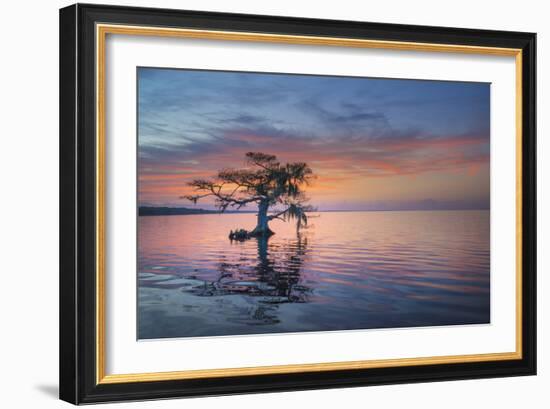 Alone at Sunrise-Moises Levy-Framed Photographic Print