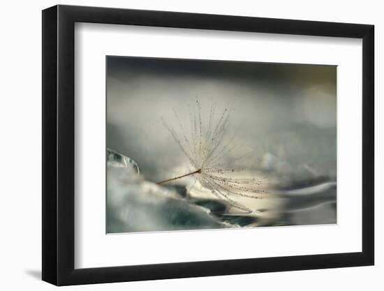 Alone By the River Side-Heidi Westum-Framed Photographic Print