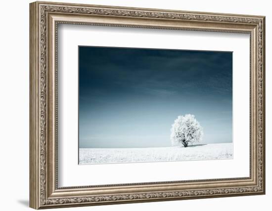 Alone Frozen Tree in Snowy Field and Dark Blue Sky-Dudarev Mikhail-Framed Photographic Print