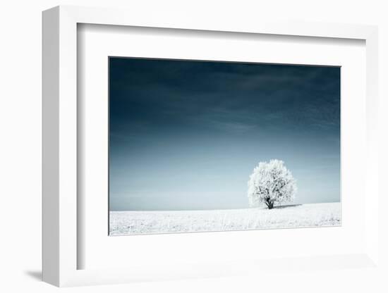 Alone Frozen Tree in Snowy Field and Dark Blue Sky-Dudarev Mikhail-Framed Photographic Print