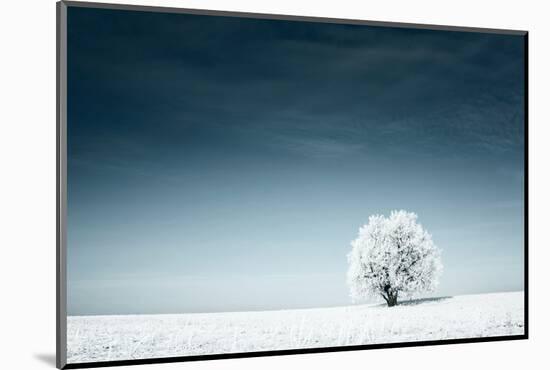 Alone Frozen Tree in Snowy Field and Dark Blue Sky-Dudarev Mikhail-Mounted Photographic Print