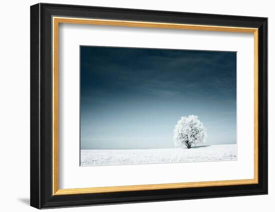 Alone Frozen Tree in Snowy Field and Dark Blue Sky-Dudarev Mikhail-Framed Photographic Print