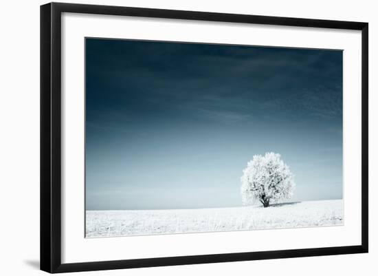 Alone Frozen Tree in Snowy Field and Dark Blue Sky-Dudarev Mikhail-Framed Photographic Print