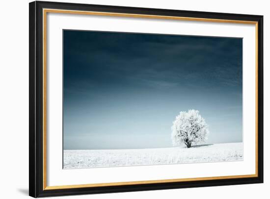 Alone Frozen Tree in Snowy Field and Dark Blue Sky-Dudarev Mikhail-Framed Photographic Print