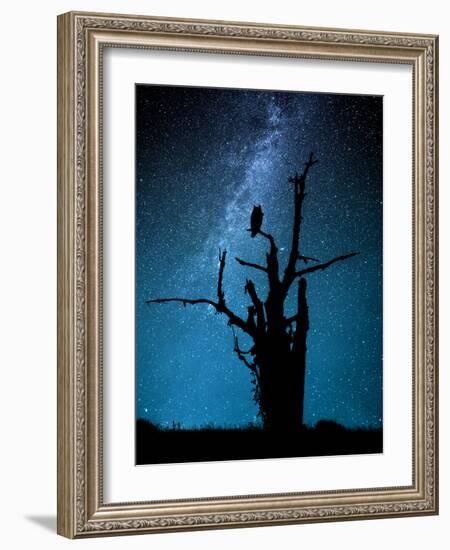 Alone in the Dark-Manu Allicot-Framed Photographic Print