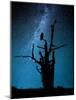 Alone in the Dark-Manu Allicot-Mounted Photographic Print