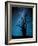 Alone in the Dark-Manu Allicot-Framed Photographic Print