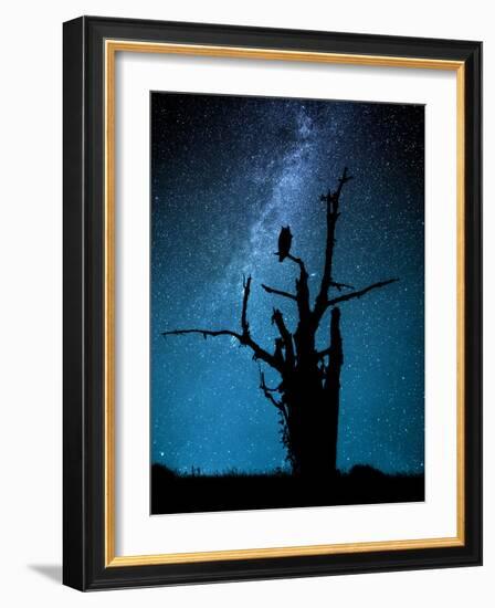 Alone in the Dark-Manu Allicot-Framed Photographic Print