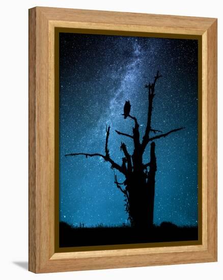 Alone in the Dark-Manu Allicot-Framed Premier Image Canvas