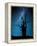 Alone in the Dark-Manu Allicot-Framed Premier Image Canvas