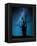 Alone in the Dark-Manu Allicot-Framed Premier Image Canvas