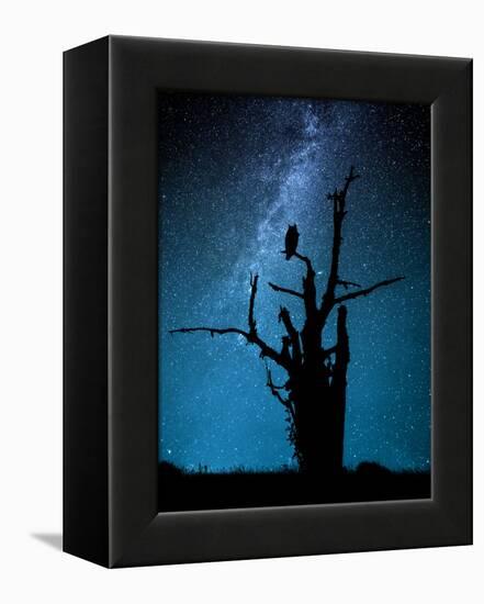 Alone in the Dark-Manu Allicot-Framed Premier Image Canvas