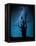 Alone in the Dark-Manu Allicot-Framed Premier Image Canvas