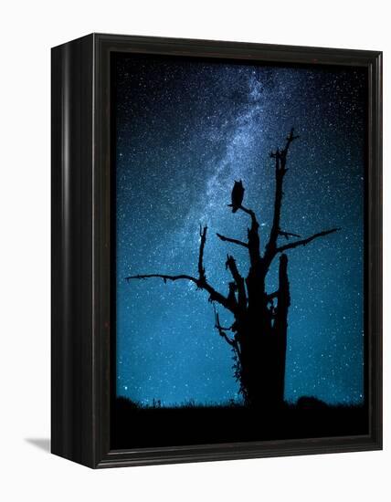 Alone in the Dark-Manu Allicot-Framed Premier Image Canvas