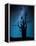 Alone in the Dark-Manu Allicot-Framed Premier Image Canvas