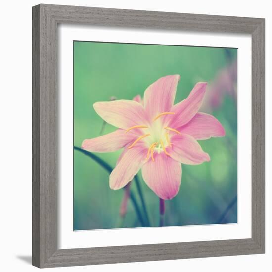 Alone in the Field-Gail Peck-Framed Photographic Print