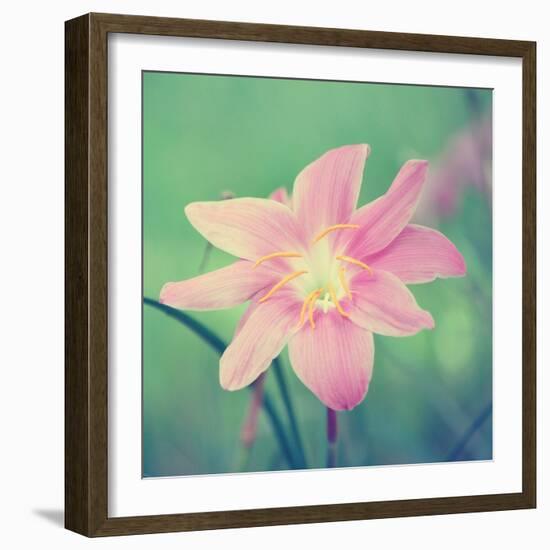 Alone in the Field-Gail Peck-Framed Photographic Print