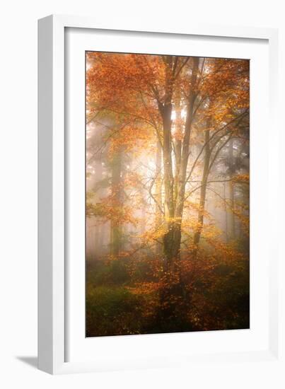 Alone in the Fog-Philippe Sainte-Laudy-Framed Photographic Print