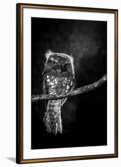 Alone in the night-Wilianto-Framed Art Print