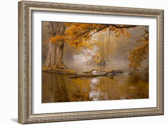 Alone in the Swamp-Norbert Maier-Framed Giclee Print