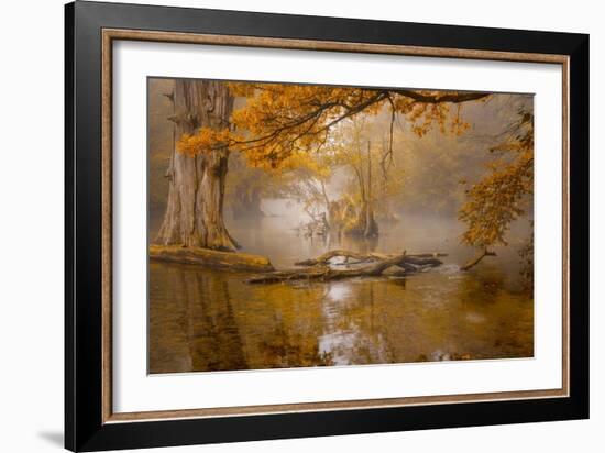 Alone in the Swamp-Norbert Maier-Framed Giclee Print