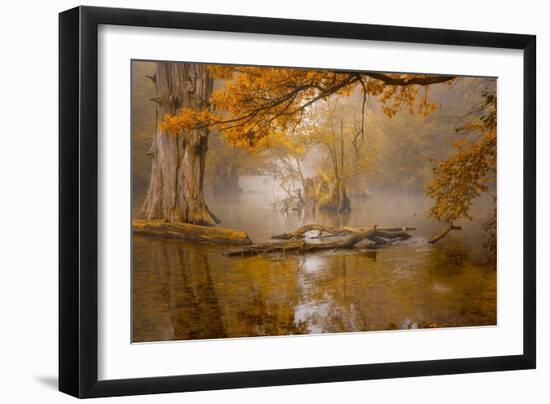 Alone in the Swamp-Norbert Maier-Framed Giclee Print