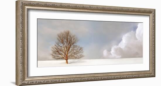 Alone in the Whiteness-Carlos Casamayor-Framed Art Print