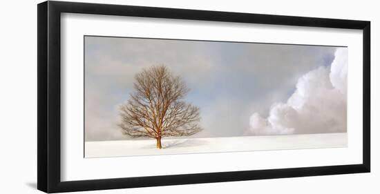 Alone in the Whiteness-Carlos Casamayor-Framed Art Print