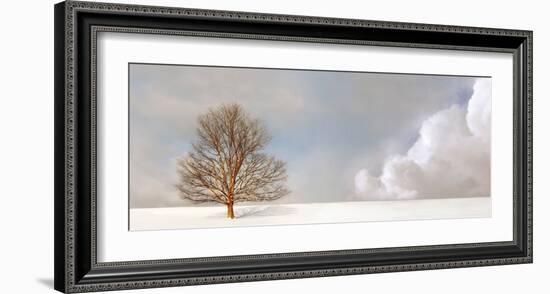 Alone in the Whiteness-Carlos Casamayor-Framed Art Print