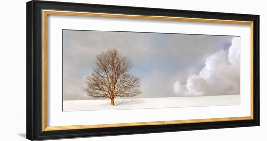 Alone in the Whiteness-Carlos Casamayor-Framed Art Print