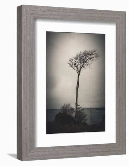 Alone in the Wind-Philippe Saint-Laudy-Framed Photographic Print