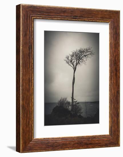 Alone in the Wind-Philippe Saint-Laudy-Framed Photographic Print