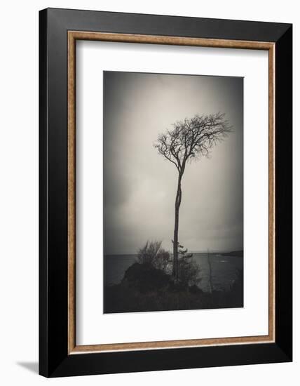 Alone in the Wind-Philippe Saint-Laudy-Framed Photographic Print