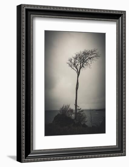 Alone in the Wind-Philippe Saint-Laudy-Framed Photographic Print