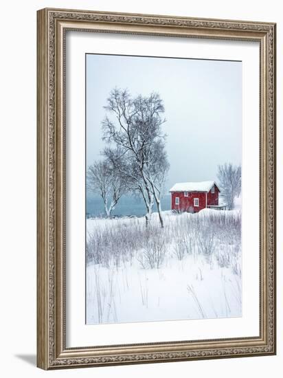 Alone in White-Philippe Sainte-Laudy-Framed Photographic Print