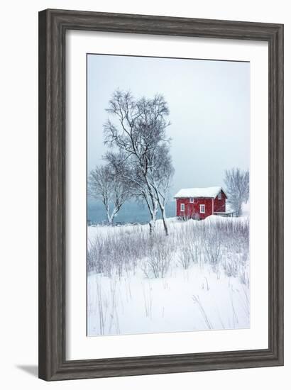 Alone in White-Philippe Sainte-Laudy-Framed Photographic Print