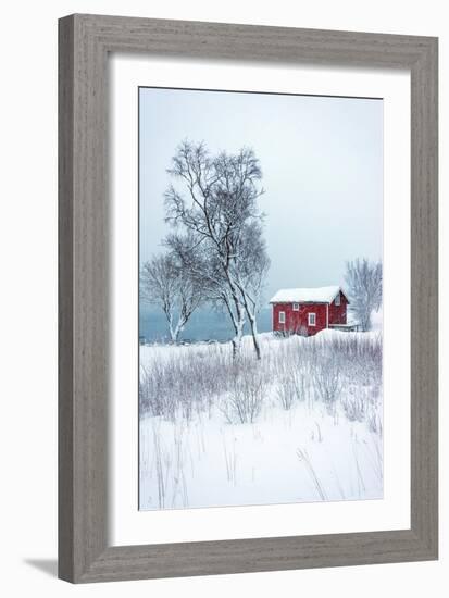 Alone in White-Philippe Sainte-Laudy-Framed Photographic Print