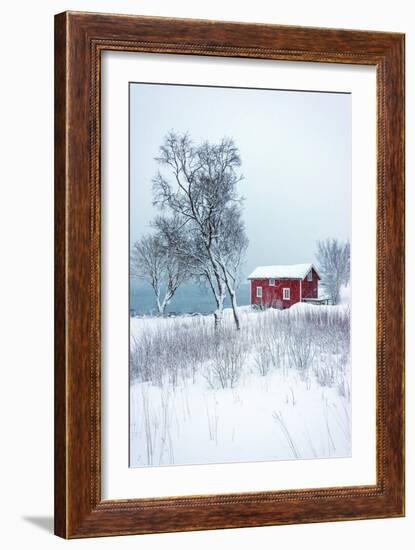 Alone in White-Philippe Sainte-Laudy-Framed Photographic Print