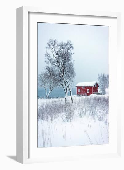 Alone in White-Philippe Sainte-Laudy-Framed Photographic Print