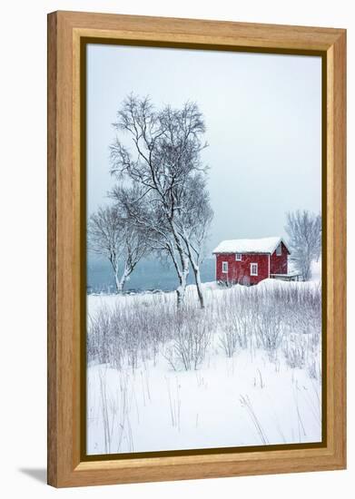 Alone in White-Philippe Sainte-Laudy-Framed Premier Image Canvas