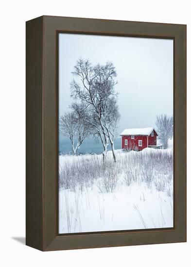 Alone in White-Philippe Sainte-Laudy-Framed Premier Image Canvas