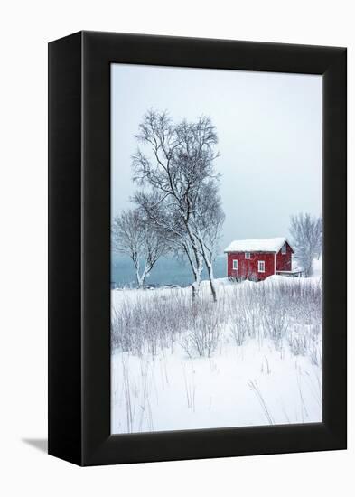 Alone in White-Philippe Sainte-Laudy-Framed Premier Image Canvas