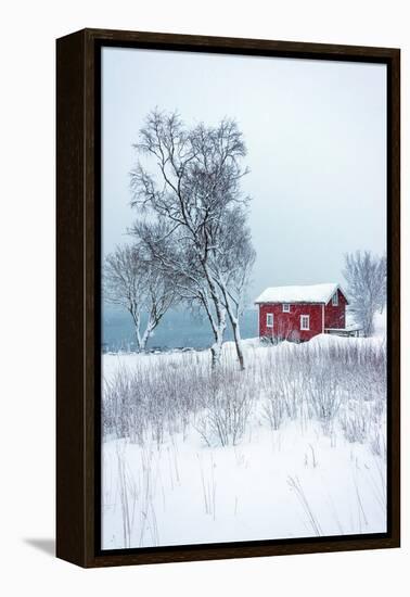 Alone in White-Philippe Sainte-Laudy-Framed Premier Image Canvas