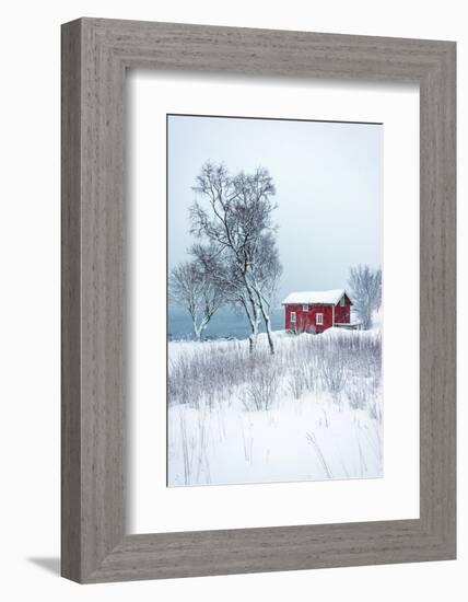 Alone in White-Philippe Sainte-Laudy-Framed Photographic Print