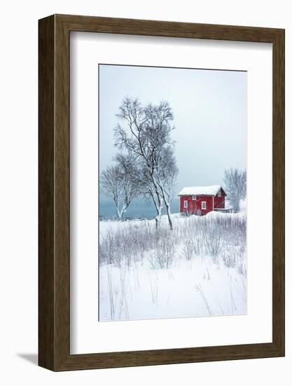 Alone in White-Philippe Sainte-Laudy-Framed Photographic Print